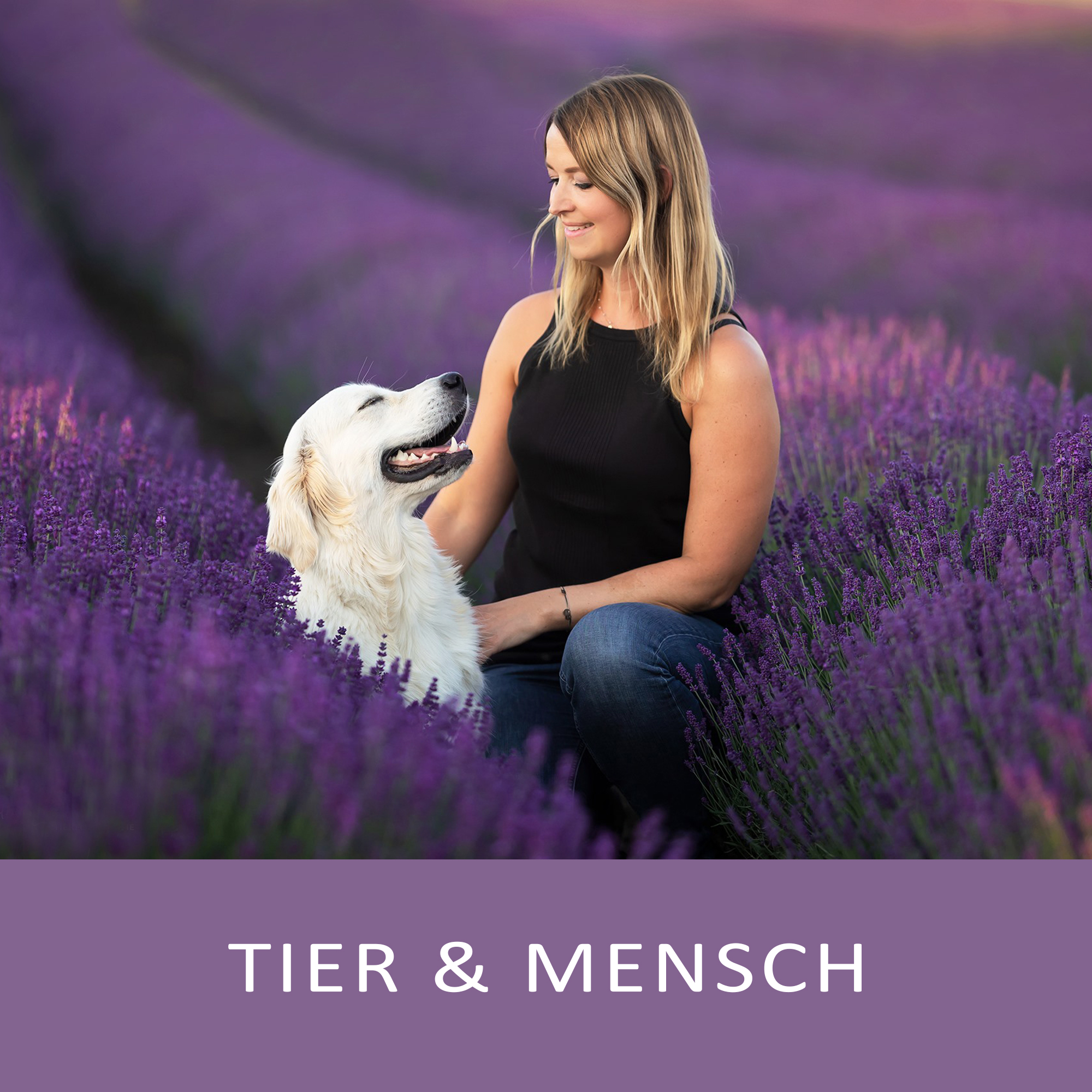 Tier Mensch